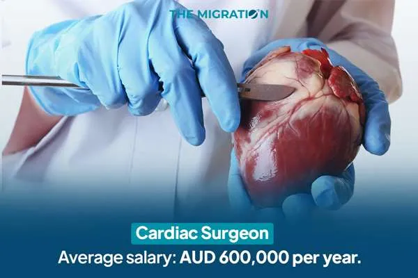 Cardiac Surgeon