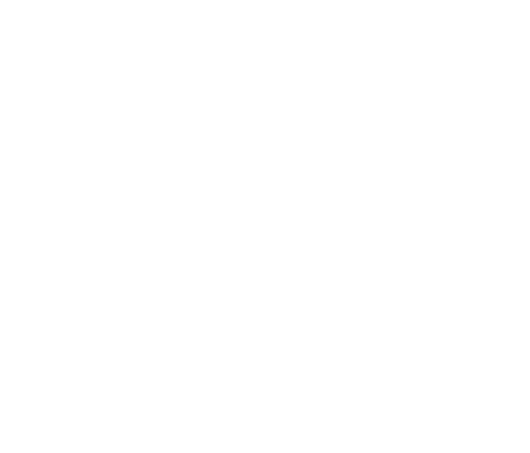 Roadmap