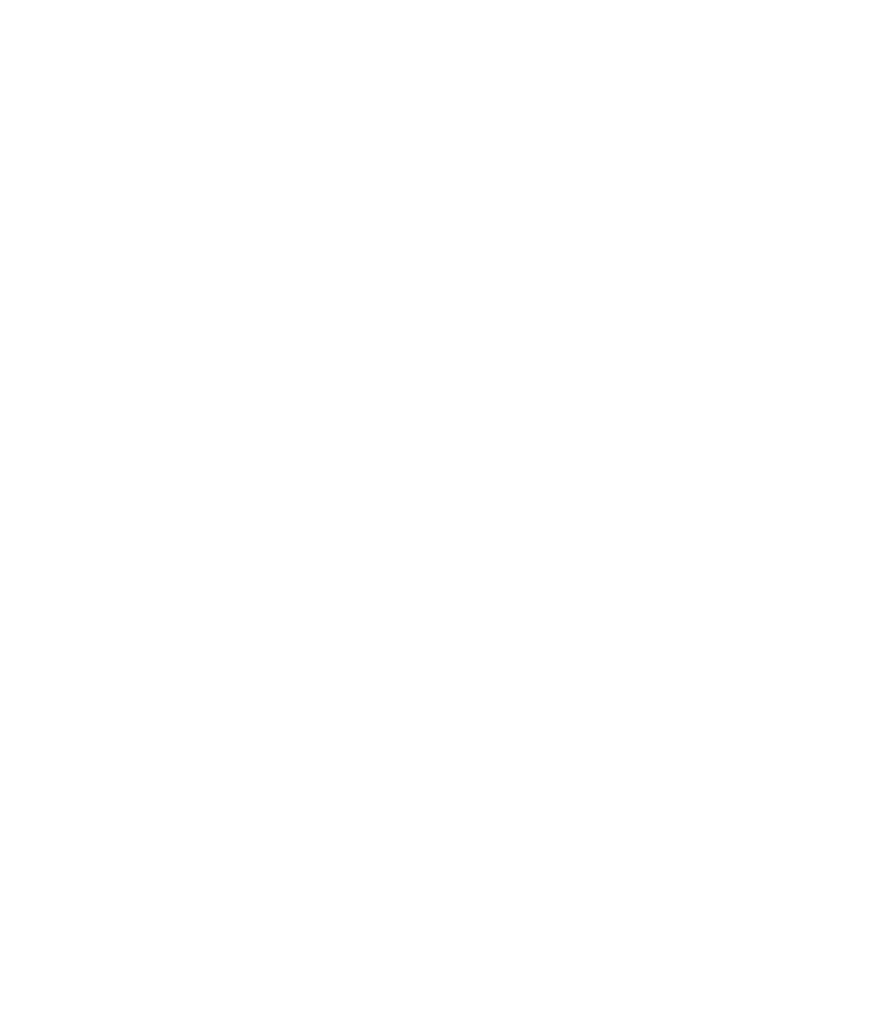 Employer Sponsored Visa Logo